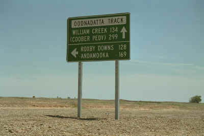 IMG0007a.jpg (292933 bytes)
