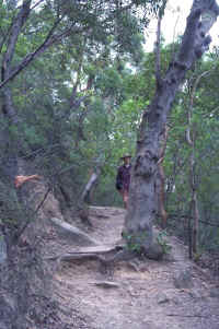 IMG0047a.jpg (457734 bytes)