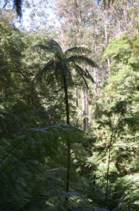 IMG0083.jpg (499756 bytes)