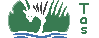 Tasico.gif (529 bytes)